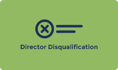 Director Disqualification Solicitors